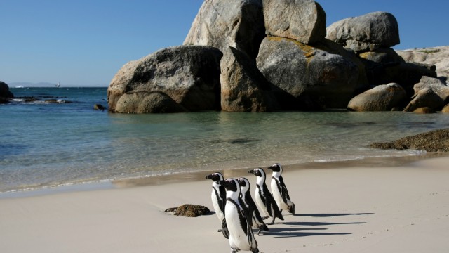 Cape Peninsula