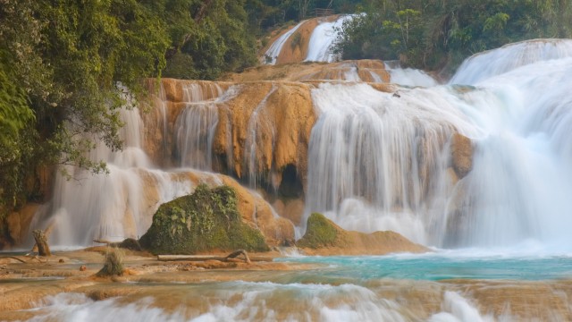 Agua Azul | Messico On The Road
