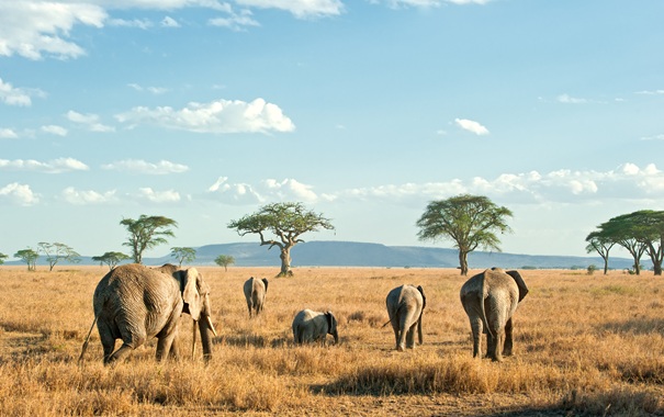 Sensibilità ambientale