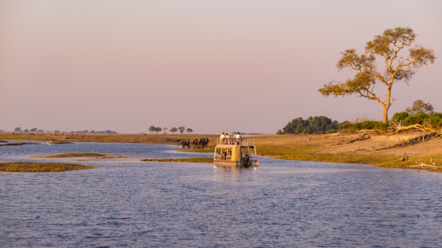 Escursione in barca sul Chobe River