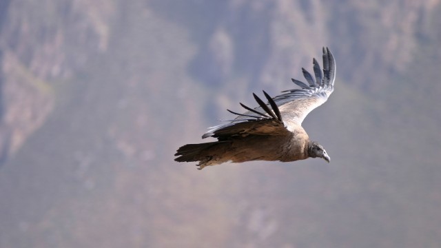 Valle Sacra | Viaggio di Nozze Perù