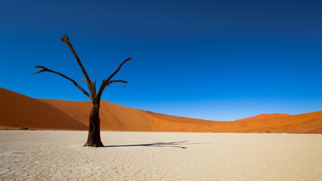 Deadvlei | Namibia Viaggi