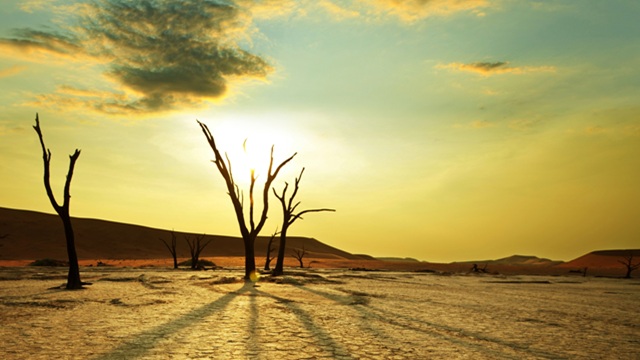 Deadvlei | Tour Namibia