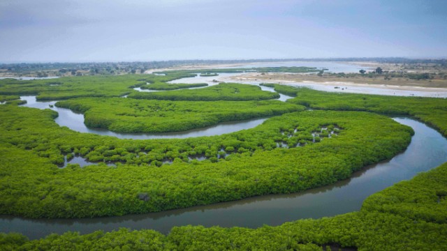 Delta del Saloum | Tour Senegal