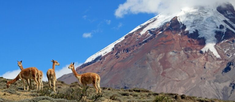 Ecuador e Galapagos