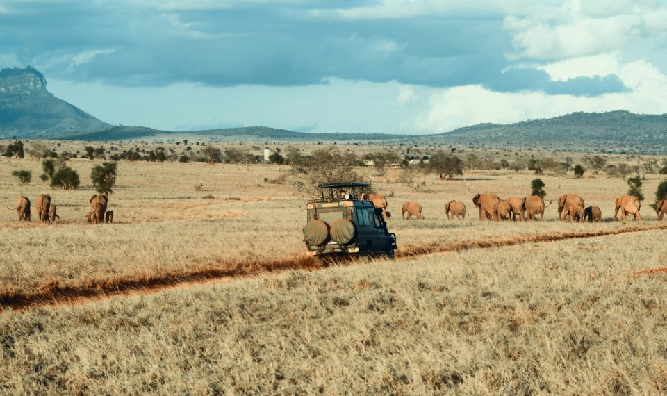 Scene di vita durante un safari | Abbigliamento safari in Africa