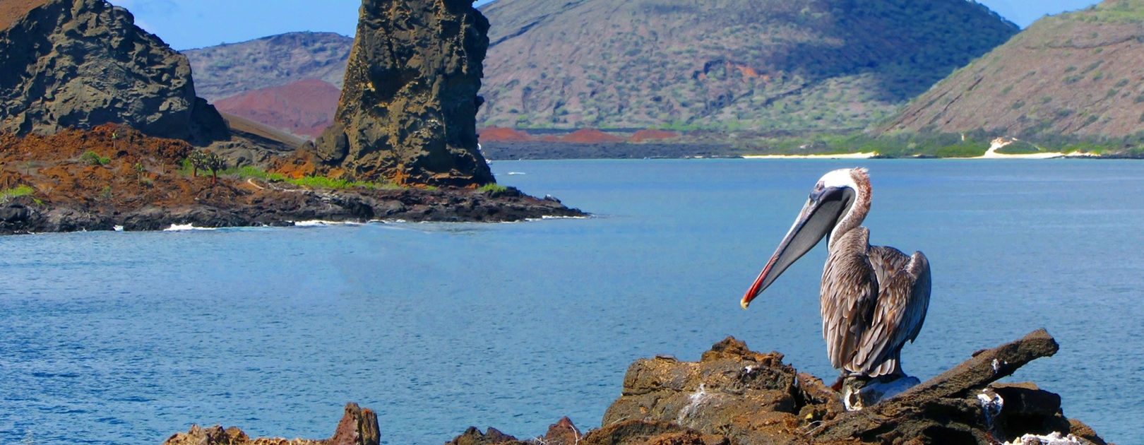 Galapagos, cosa fare in questa remota terra selvaggia