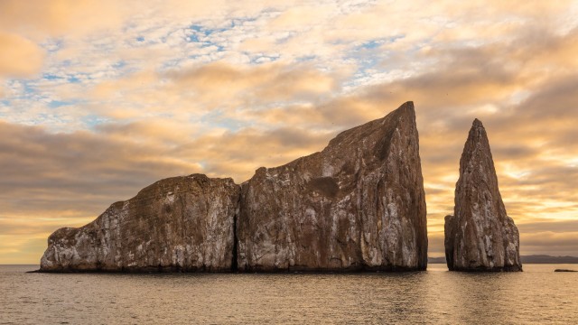Leon Dormido, Galapagos