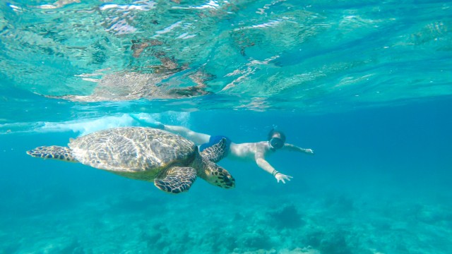 Snorkeling Gili Air | Itinerario Indonesia 2 settimane