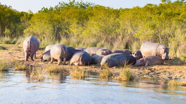 iSimangaliso Wetland Park