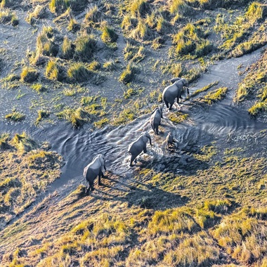 Elefanti in Botswana | La nostra filosofia