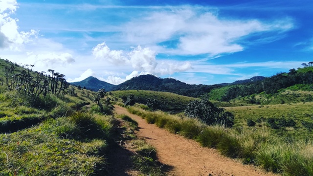 Sentiero nell'Horton Plains National Park | Tour in Sri Lanka