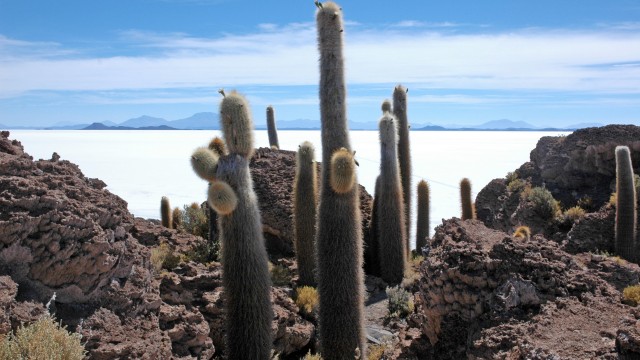 Isola Incahuasi | Perù e Bolivia