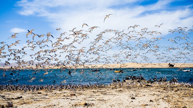 Isole Balletas | Viaggio fai da te Perù