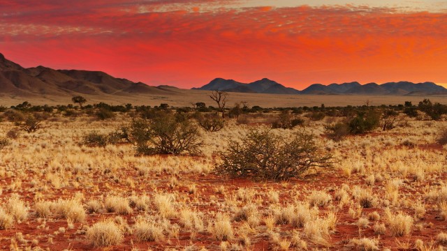 Kalahari Desert