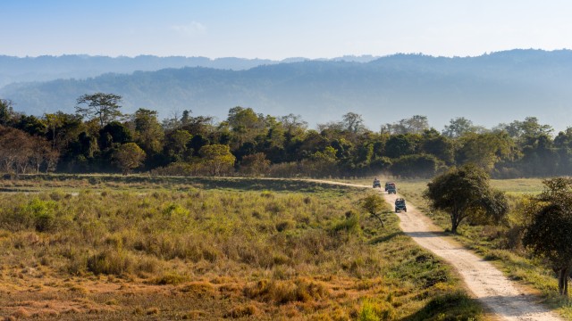 Jeep Safari, Kaziranga National Park | Tour India Hornbill Festival