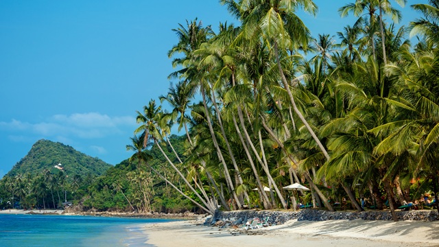 Costa di Koh Samui | Tour Thailandia