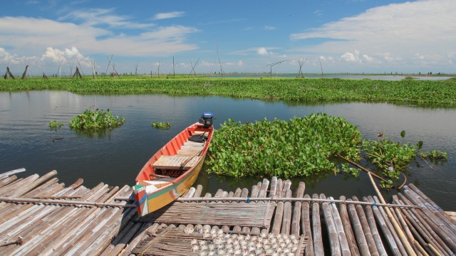 Tempe Lake | Itinerario Indonesia 3 settimane