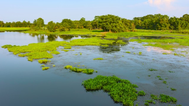 Majuli | Tour India Hornbill Festival