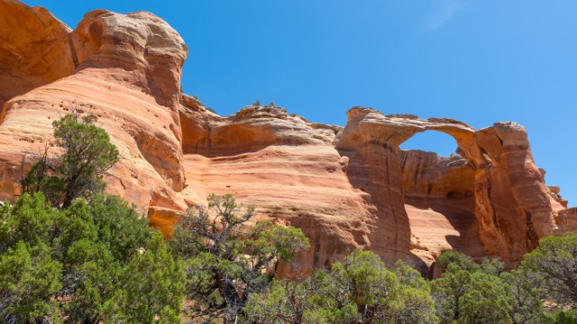 Mcinnis Canyon | viaggio yellowstone