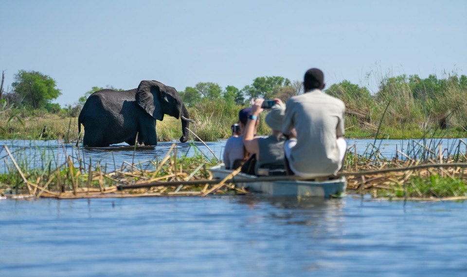 Scenari del Delta dell'Okavango | Botswana, cosa vedere