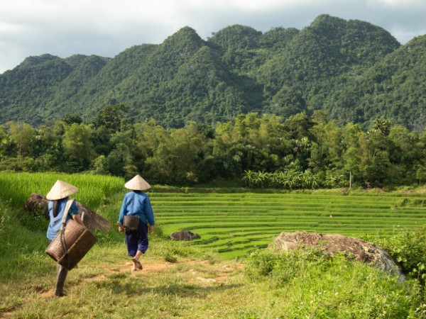 Respirare la tranquillità della Riserva Naturale di Pu Luong