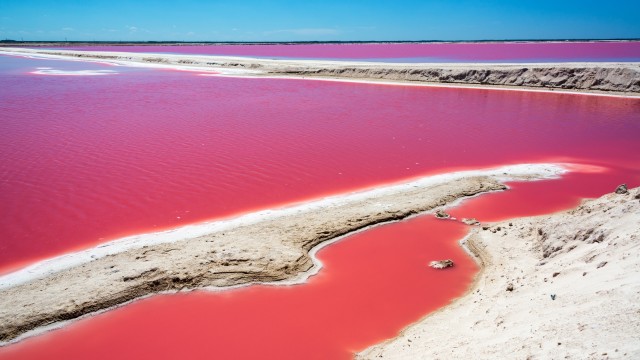 Rio Lagartos | Tour Messico