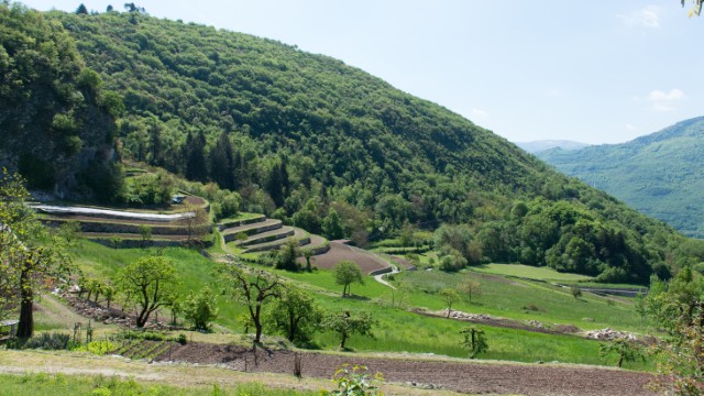 Foreste e risaie a Khuon Lung | Tour Vietnam Solidale