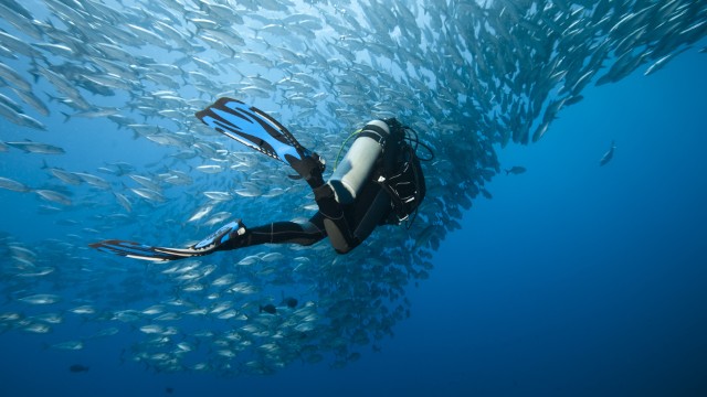 Snorkelling | Viaggio Filippine