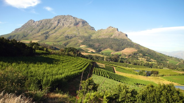 Stellenbosch