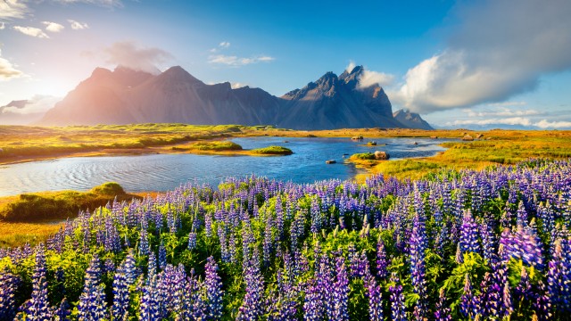 Hofn | Self Drive Islanda