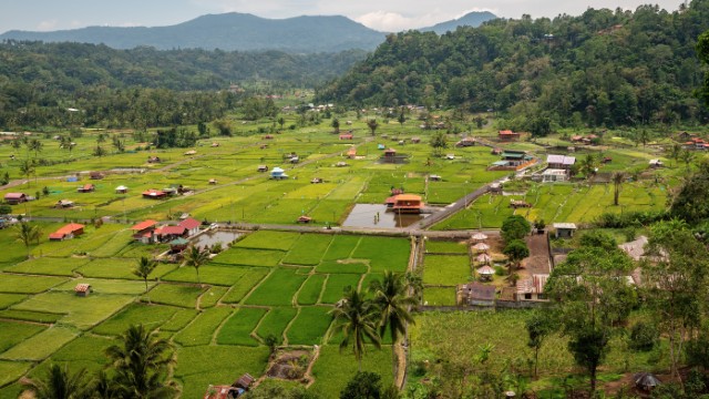 Tomohon | Itinerario Indonesia 3 settimane