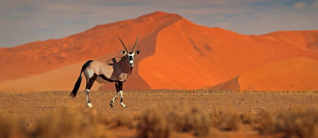 Tour Namibia in Lodge | Namibia Viaggi