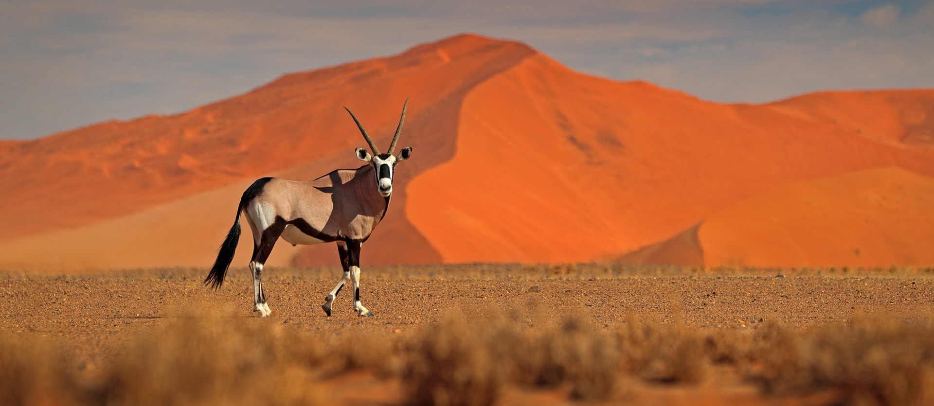 Tour Namibia in Lodge
