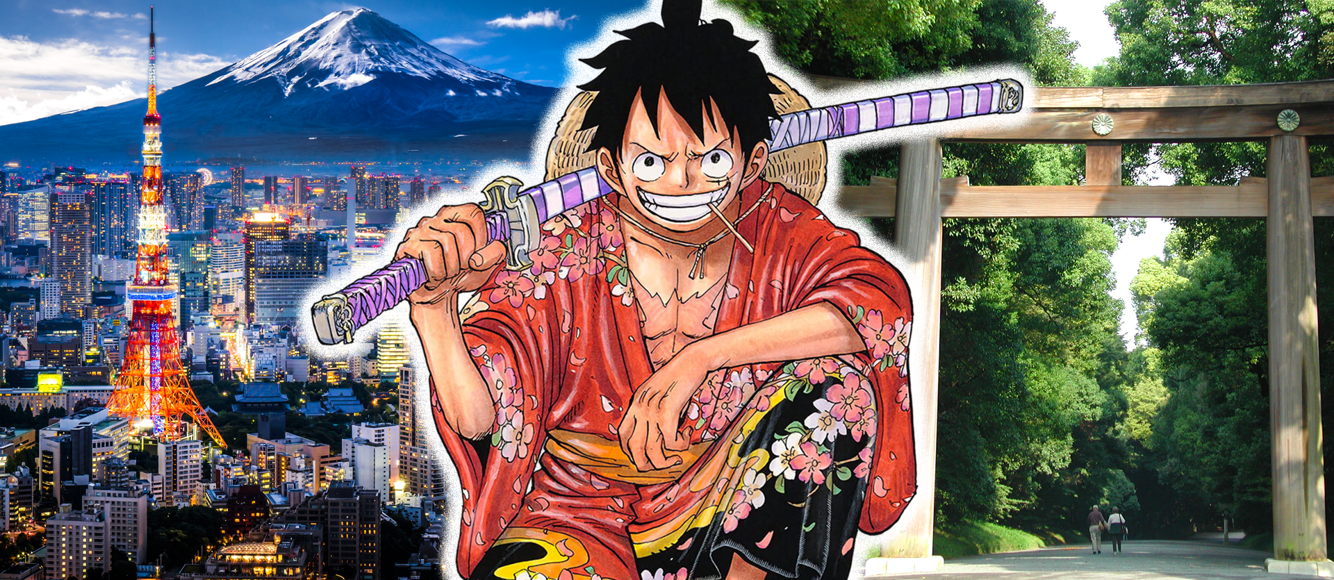 Tour Tokyo One Piece