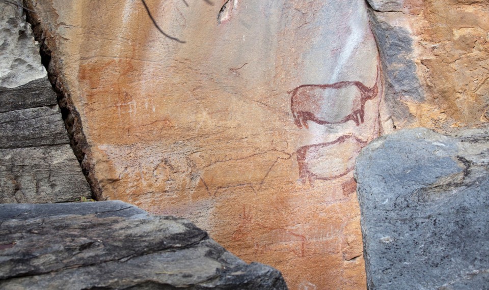 Le pitture rupestri delle Tsodilo Hills | Botswana, cosa vedere