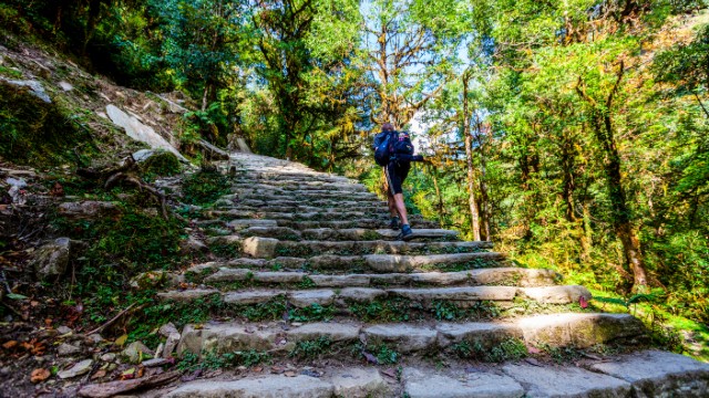 Ulleri | Trekking Nepal