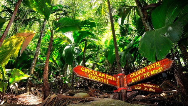Valleè de Mai | Viaggio Seychelles