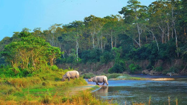 Chitwan NP | Itinerario Nepal
