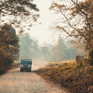 Chitwan National Park