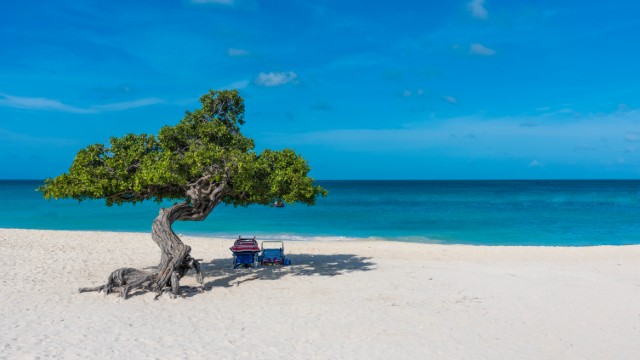 Eagle Beach | Aruba viaggio di nozze