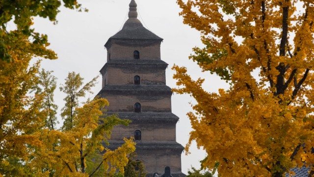 Grande Pagoda dell'Oca Selvaggia | Cina Imperiale