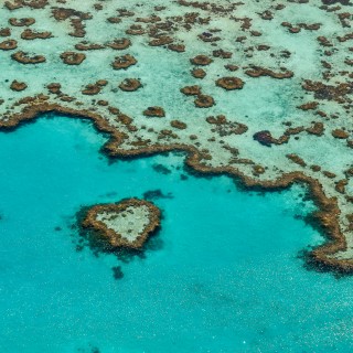 Grande Barriera Corallina