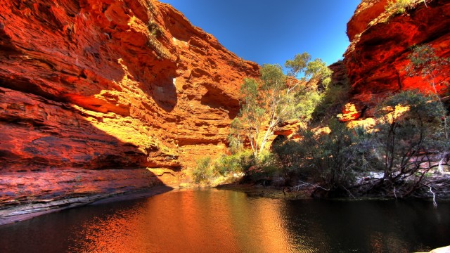 Kings Canyon | Viaggio di Nozze in Australia