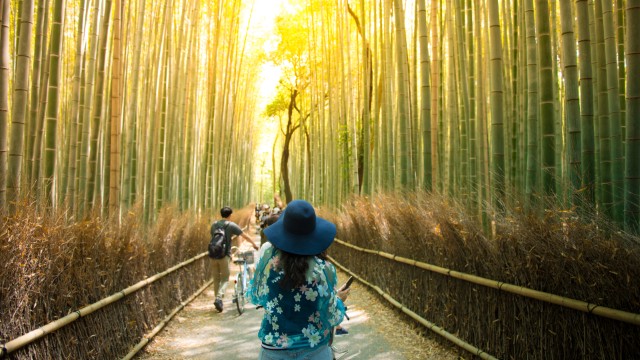 Foresta di bamboo Arashiyama