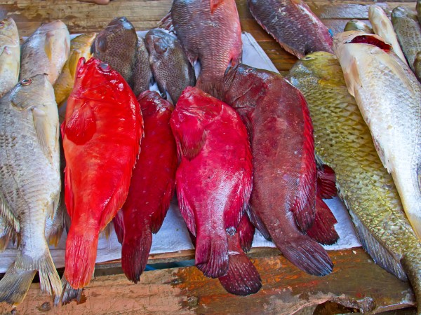 Maputo | Mozambico Viaggio