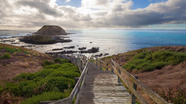 Philipp Island | Australia On The Road