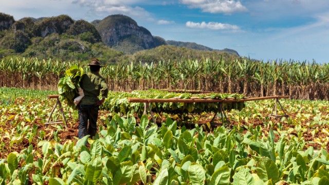 Vinales | Viaggio di Nozze Cuba