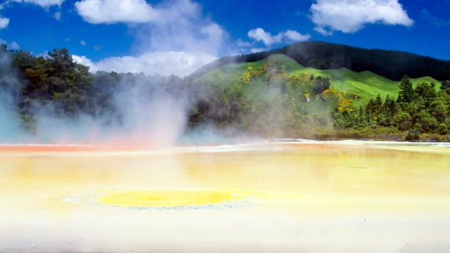 Rotorua | Viaggio di nozze Nuova Zelanda