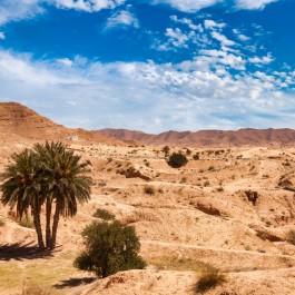 Tozeur nel Deserto del Sahara | Viaggio Tunisia